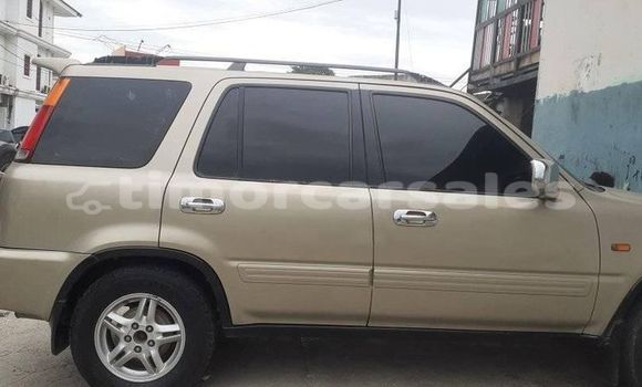 Buy Used Honda CRV Beige Car in Dili in Dili Buy Used Honda CRV Beige Car in Dili in Dili
