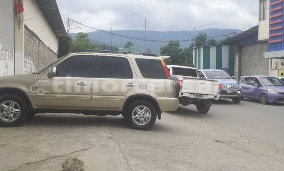 Buy Used Honda CRV Beige Car in Dili in Dili Buy Used Honda CRV Beige Car in Dili in Dili