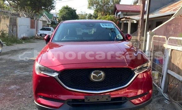 Buy Used Mazda CX-5 Red Car in Dili in Dili