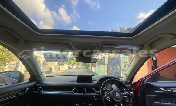 Buy Used Mazda CX-5 Red Car in Dili in Dili Buy Used Mazda CX-5 Red Car in Dili in Dili
