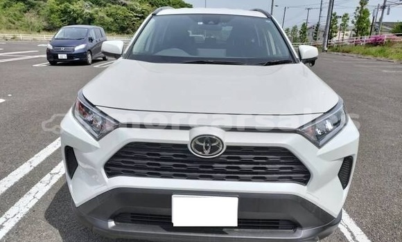 Buy Used Toyota RAV4 White Car in Cailaco in Bobonaro Buy Used Toyota RAV4 White Car in Cailaco in Bobonaro