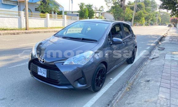 Buy Used Toyota Yaris Other Car in Dili in Dili Buy Used Toyota Yaris Other Car in Dili in Dili