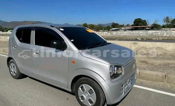 Buy Used Suzuki Alto Green Car in Dili in Dili Buy Used Suzuki Alto Green Car in Dili in Dili