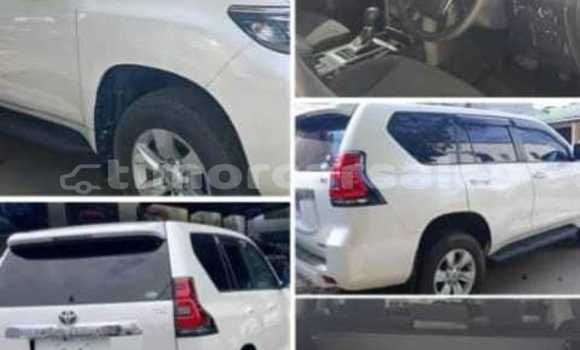 Buy Used Toyota Prado White Car in Batugade in Bobonaro Buy Used Toyota Prado White Car in Batugade in Bobonaro