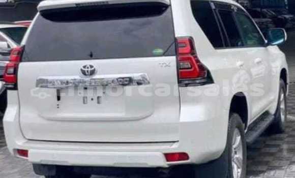 Buy Used Toyota Prado White Car in Batugade in Bobonaro Buy Used Toyota Prado White Car in Batugade in Bobonaro