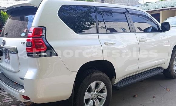 Buy Used Toyota Prado White Car in Dili in Dili Buy Used Toyota Prado White Car in Dili in Dili