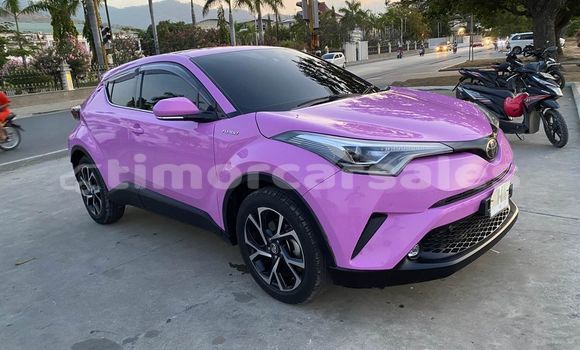 Buy Used Toyota C-HR Other Car in Dili in Dili Buy Used Toyota C-HR Other Car in Dili in Dili