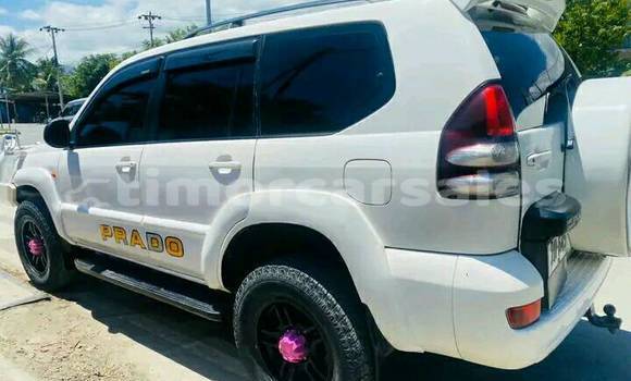Buy Used Toyota Prado White Car in Dili in Dili Buy Used Toyota Prado White Car in Dili in Dili