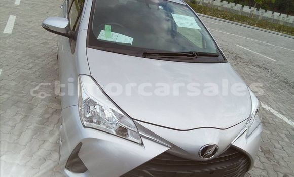 Buy Used Toyota Vitz Other Car in Dili in Dili Buy Used Toyota Vitz Other Car in Dili in Dili