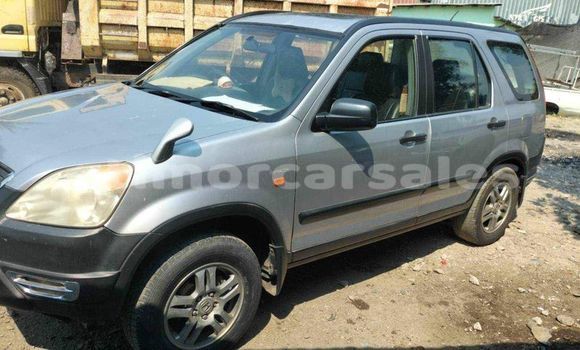 Buy Used Honda CRV Other Car in Dili in Dili Buy Used Honda CRV Other Car in Dili in Dili