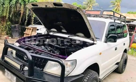 Buy Used Subaru Impreza White Car in Atabae in Bobonaro