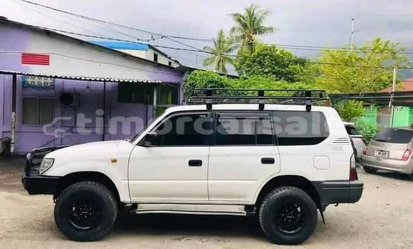 Buy Used Subaru Impreza White Car in Atabae in Bobonaro Buy Used Subaru Impreza White Car in Atabae in Bobonaro