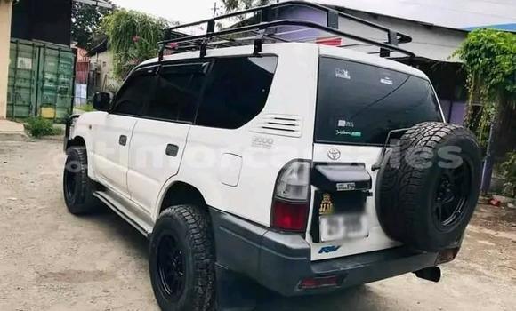 Buy Used Subaru Impreza White Car in Atabae in Bobonaro Buy Used Subaru Impreza White Car in Atabae in Bobonaro