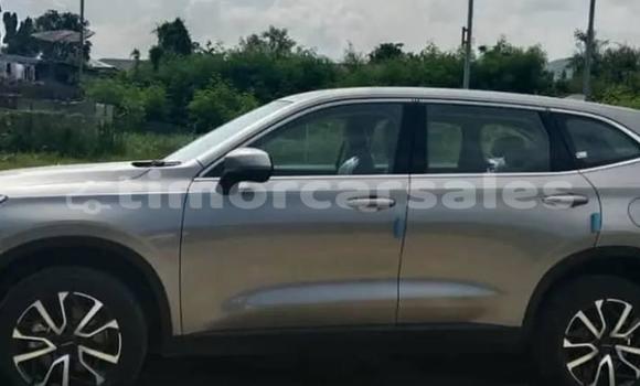 Buy Used Haval H6 Other Car in Alas in Manufahi Buy Used Haval H6 Other Car in Alas in Manufahi