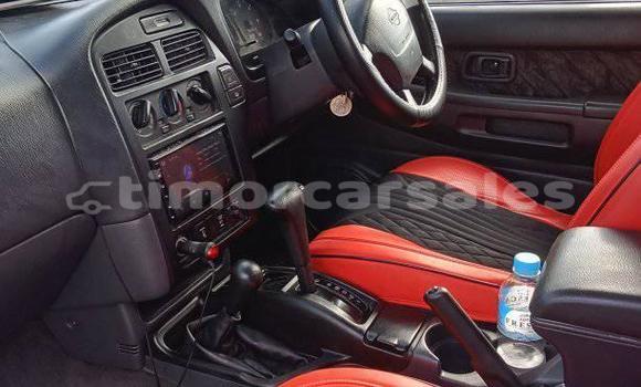 Buy Used Nissan Terrano Other Car in Atsabe in Ermera Buy Used Nissan Terrano Other Car in Atsabe in Ermera