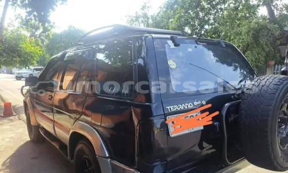 Buy Used Nissan Terrano Black Car in Alas in Manufahi Buy Used Nissan Terrano Black Car in Alas in Manufahi