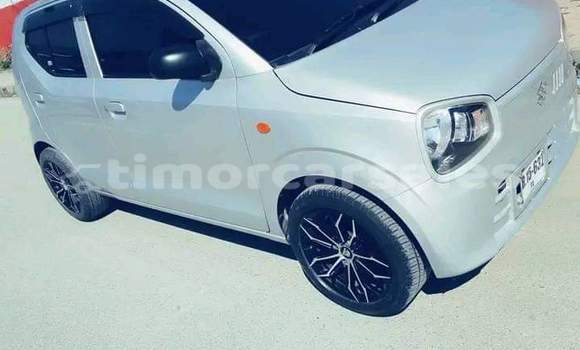 Buy Used Suzuki Alto Other Car in Atsabe in Ermera Buy Used Suzuki Alto Other Car in Atsabe in Ermera