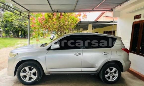 Buy Used Toyota RAV4 Other Car in Atsabe in Ermera Buy Used Toyota RAV4 Other Car in Atsabe in Ermera