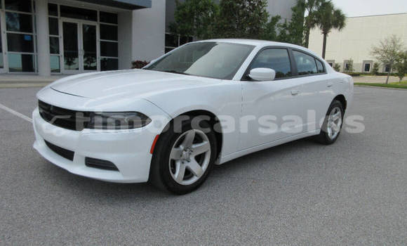 Buy Used Dodge Charger White Car in Dili in Dili
