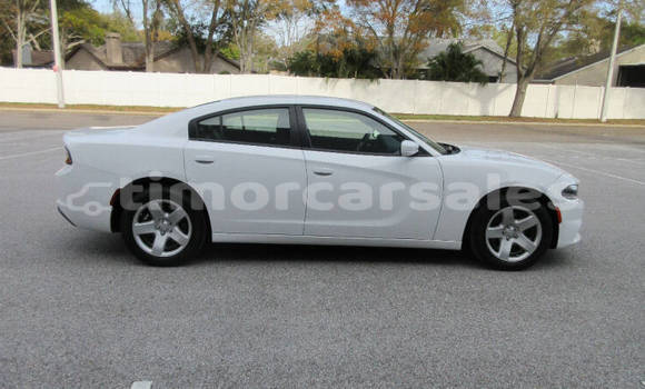 Buy Used Dodge Charger White Car in Dili in Dili Buy Used Dodge Charger White Car in Dili in Dili