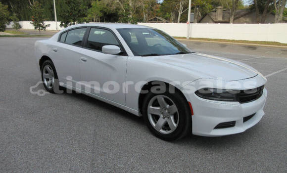 Buy Used Dodge Charger White Car in Dili in Dili Buy Used Dodge Charger White Car in Dili in Dili