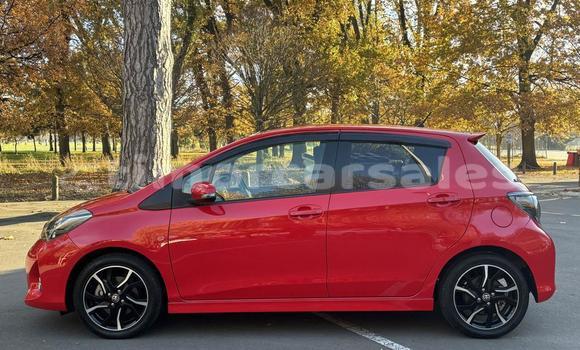 Buy Used Toyota Vitz Red Car in Cassa in Ainaro Buy Used Toyota Vitz Red Car in Cassa in Ainaro
