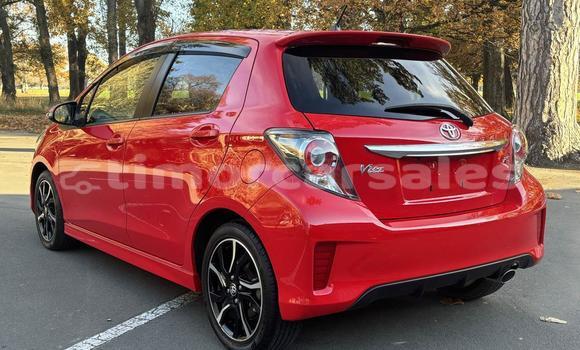 Buy Used Toyota Vitz Red Car in Cassa in Ainaro Buy Used Toyota Vitz Red Car in Cassa in Ainaro