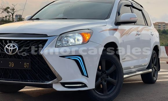 Buy Used Toyota RAV4 White Car in Dili in Dili Buy Used Toyota RAV4 White Car in Dili in Dili