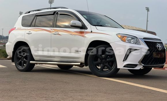 Buy Used Toyota RAV4 White Car in Dili in Dili Buy Used Toyota RAV4 White Car in Dili in Dili