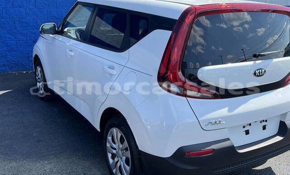 Buy Used Kia Soul White Car in Dili in Dili Buy Used Kia Soul White Car in Dili in Dili
