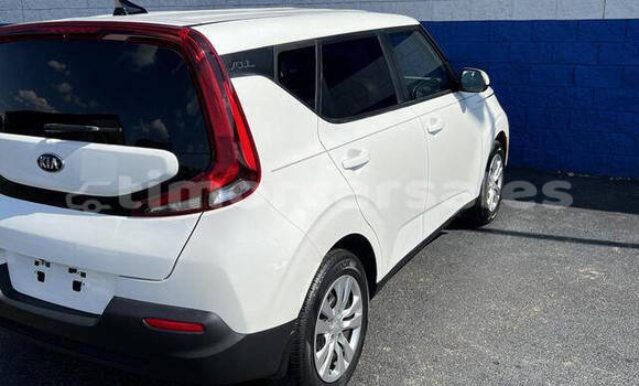 Buy Used Kia Soul White Car in Dili in Dili Buy Used Kia Soul White Car in Dili in Dili
