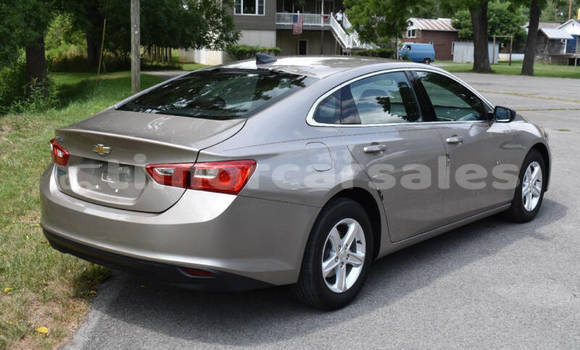 Buy Used Chevrolet Malibu Other Car in Dili in Dili Buy Used Chevrolet Malibu Other Car in Dili in Dili