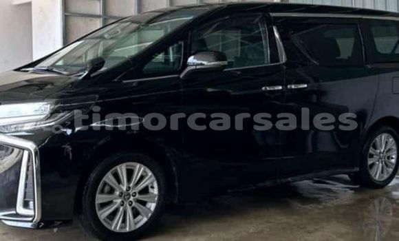 Buy Used Toyota Alphard Black Car in Atsabe in Ermera Buy Used Toyota Alphard Black Car in Atsabe in Ermera