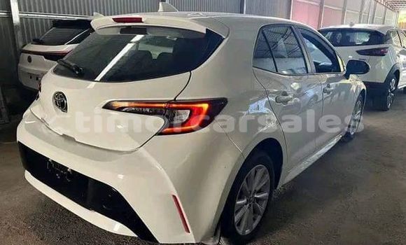 Buy Used Toyota Corolla Other Car in Alas in Manufahi Buy Used Toyota Corolla Other Car in Alas in Manufahi