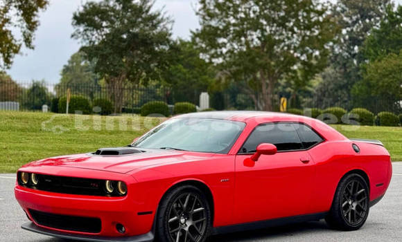 Buy Used Dodge Challenger Red Car in Dili in Dili Buy Used Dodge Challenger Red Car in Dili in Dili