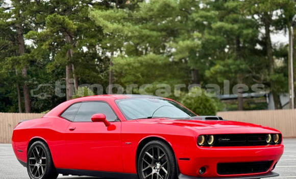 Buy Used Dodge Challenger Red Car in Dili in Dili Buy Used Dodge Challenger Red Car in Dili in Dili