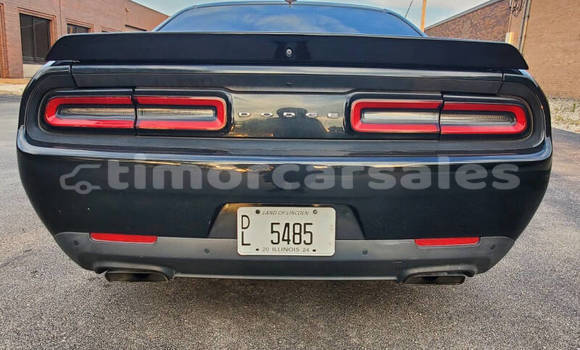 Buy Used Dodge Challenger Black Car in Laga in Lautem Buy Used Dodge Challenger Black Car in Laga in Lautem
