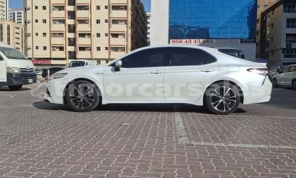 Buy Used Toyota Camry White Car in Cassa in Ainaro Buy Used Toyota Camry White Car in Cassa in Ainaro