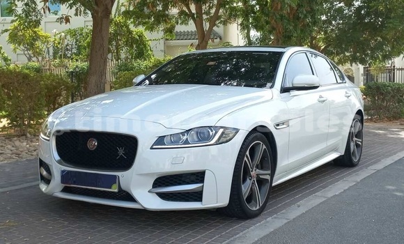 Buy Used Jaguar XF White Car in Dili in Dili