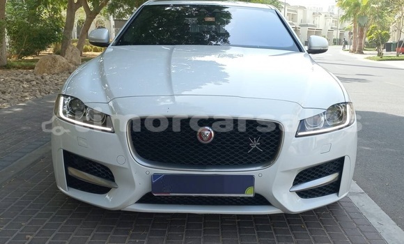 Buy Used Jaguar XF White Car in Dili in Dili Buy Used Jaguar XF White Car in Dili in Dili