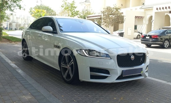 Buy Used Jaguar XF White Car in Dili in Dili Buy Used Jaguar XF White Car in Dili in Dili