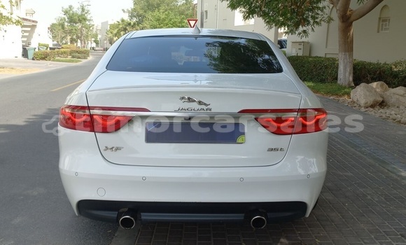 Buy Used Jaguar XF White Car in Dili in Dili Buy Used Jaguar XF White Car in Dili in Dili