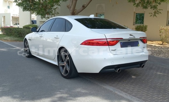 Buy Used Jaguar XF White Car in Dili in Dili Buy Used Jaguar XF White Car in Dili in Dili