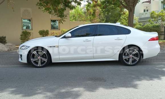 Buy Used Jaguar XF White Car in Dili in Dili Buy Used Jaguar XF White Car in Dili in Dili