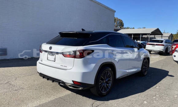 Buy Used Lexus RX 350 White Car in Clacuc in Manufahi Buy Used Lexus RX 350 White Car in Clacuc in Manufahi