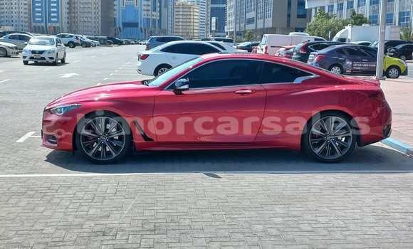 Buy Used Infiniti Q60 Red Car in Lebos in Bobonaro Buy Used Infiniti Q60 Red Car in Lebos in Bobonaro