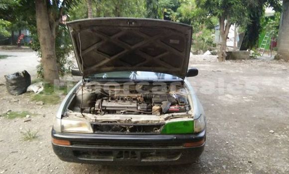 Buy Used Toyota Corolla Other Car in Dili in Dili Buy Used Toyota Corolla Other Car in Dili in Dili