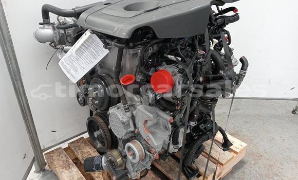 Buy MITSUBISHI TRITON ENGINE in Metinaro in Dili Buy MITSUBISHI TRITON ENGINE in Metinaro in Dili