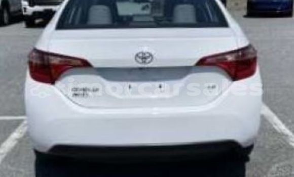 Buy Used Toyota Corolla White Car in Auba in Bobonaro