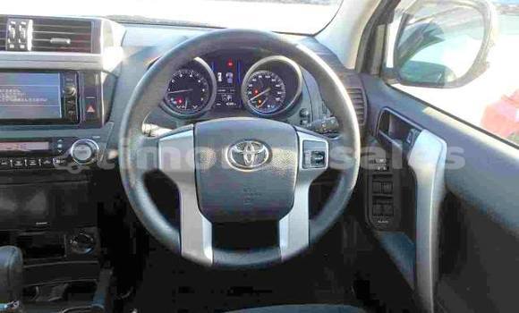 Buy Used Toyota Land Cruiser Prado Other Car in Metinaro in Dili Buy Used Toyota Land Cruiser Prado Other Car in Metinaro in Dili